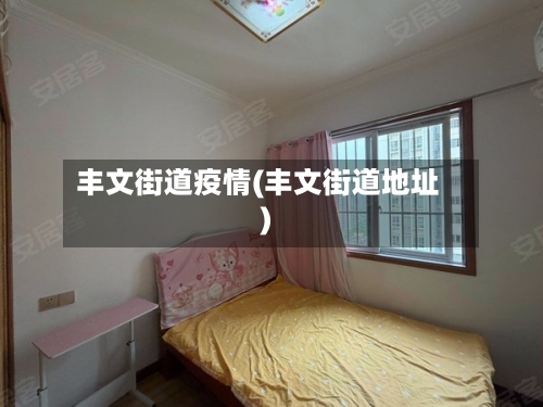 丰文街道疫情(丰文街道地址)