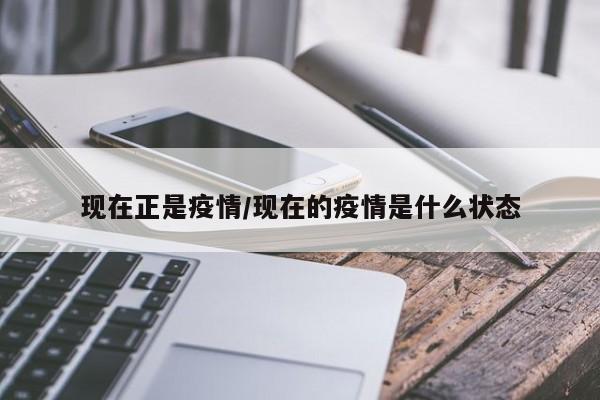 现在正是疫情/现在的疫情是什么状态